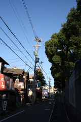 だぶるもみのき