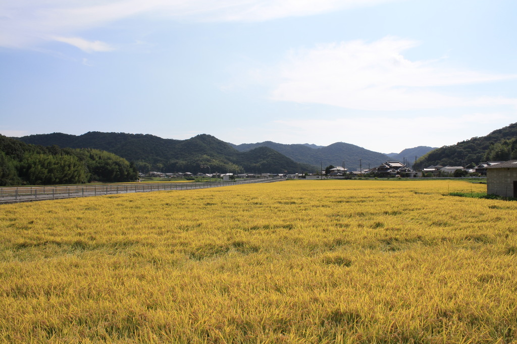 おうむのうにょうにょ