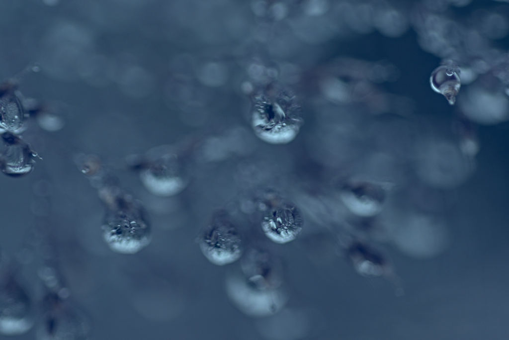 雨上がり