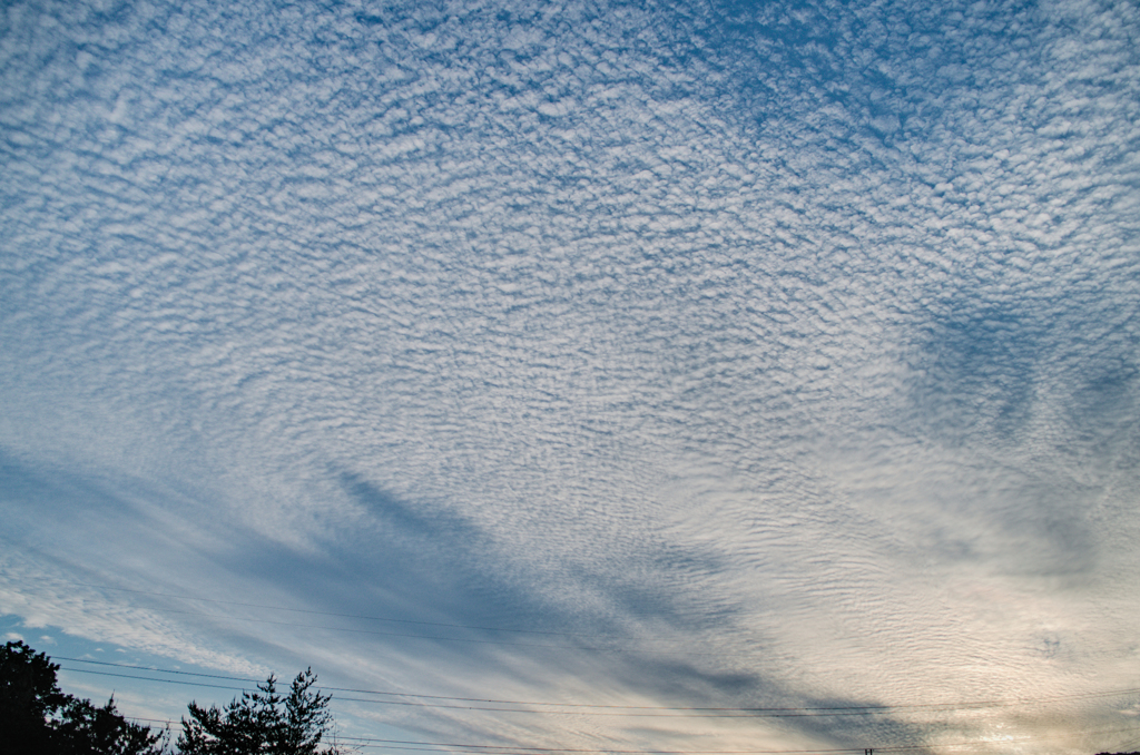 the look of the sky # 467