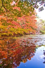 鏡紅葉