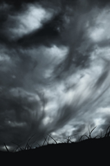 the look of the sky # 485