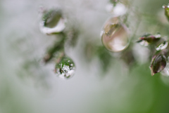 雨上がり