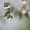 雨上がり