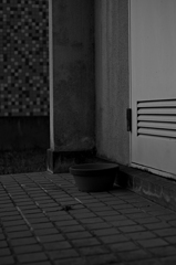 Black-and-White #6