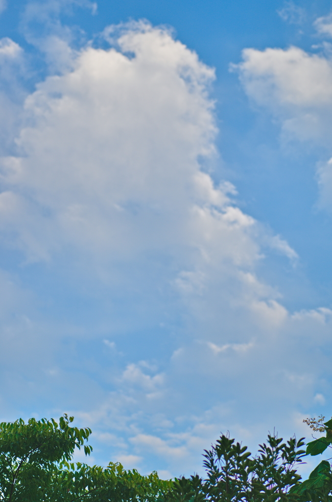 the look of the sky # 364