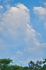 the look of the sky # 364