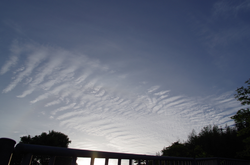 早朝の雲