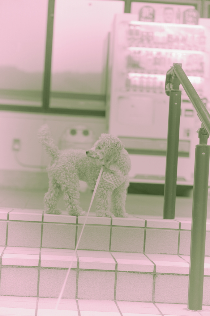 my pretty dog Ⅱ # 108