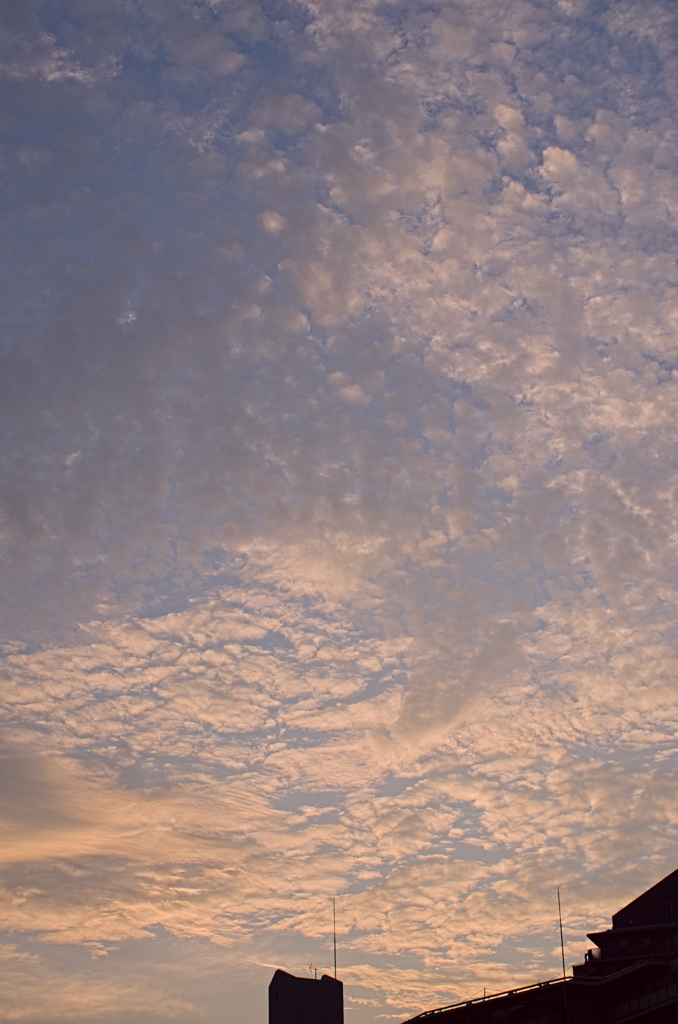 the look of the sky # 374