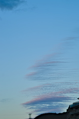 the look of the sky # 319