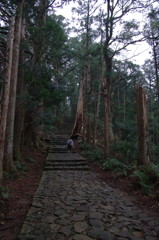 熊野古道 （大門坂）