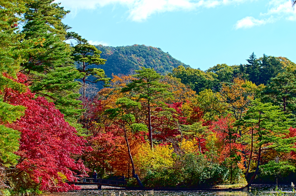 紅葉三昧 '2019