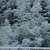 雪