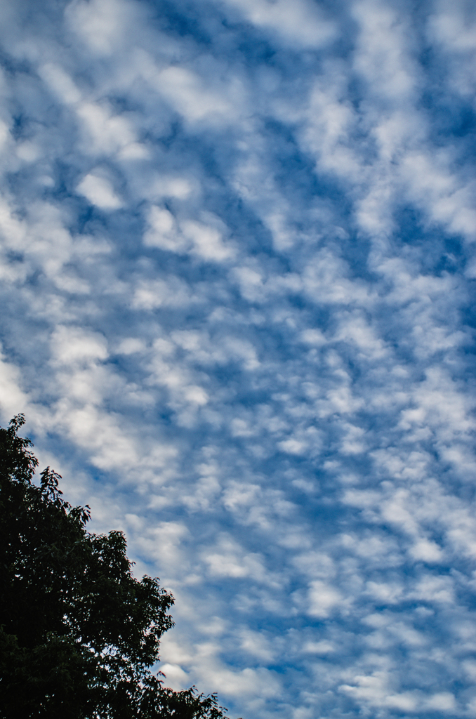 the look of the sky # 457