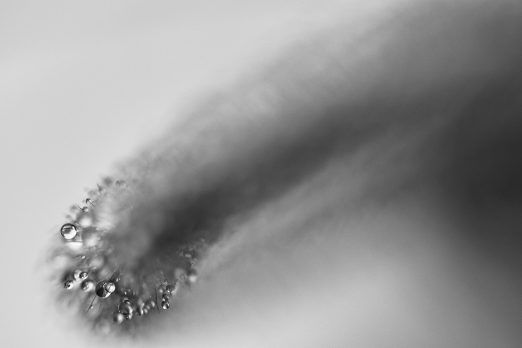 雨上がり