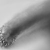 雨上がり