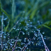 水玉ジュエリー