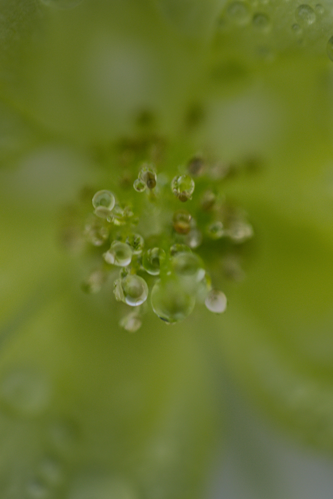 雨上がり