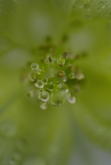 雨上がり