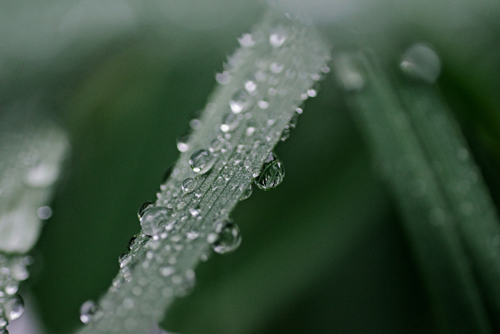 雨上がり