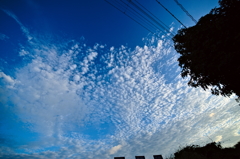 the look of the sky # 188