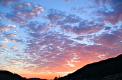 the look of the sky # 278