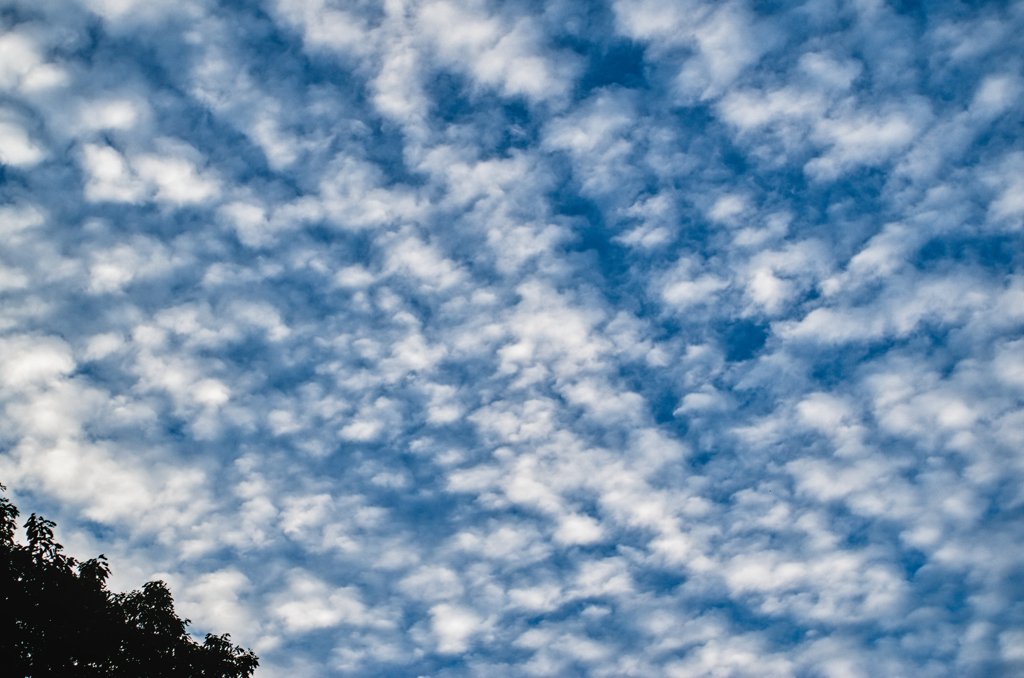 the look of the sky # 458