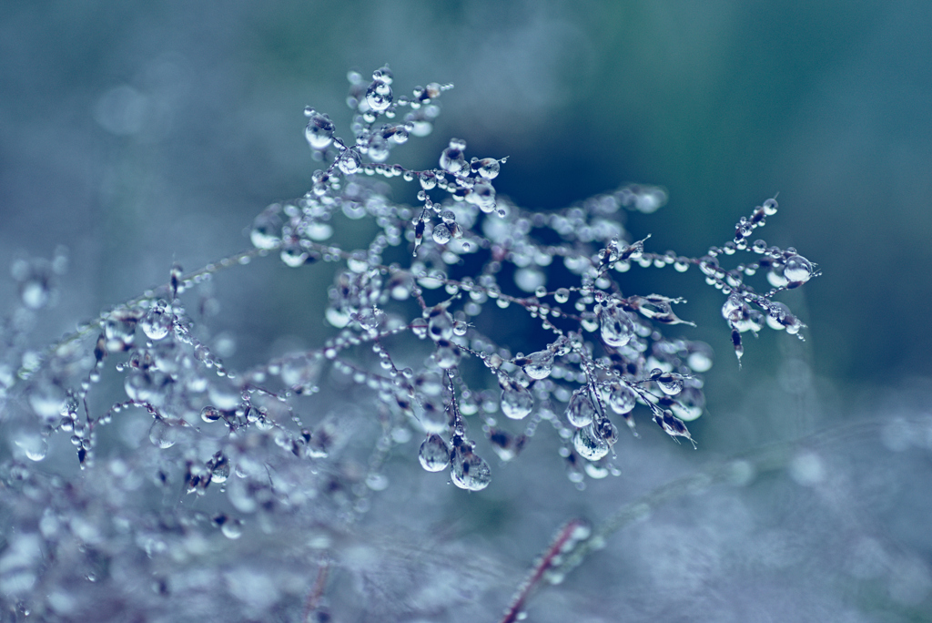 雨上がり