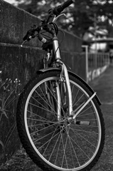 自転車