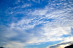 the look of the sky # 233