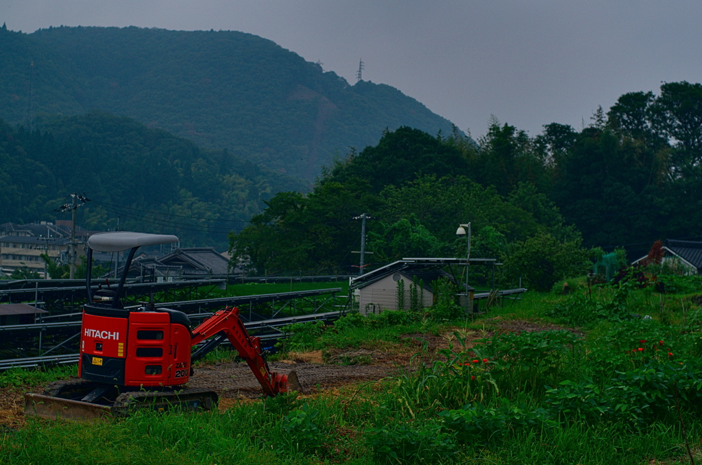散歩写真
