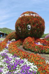 たこ