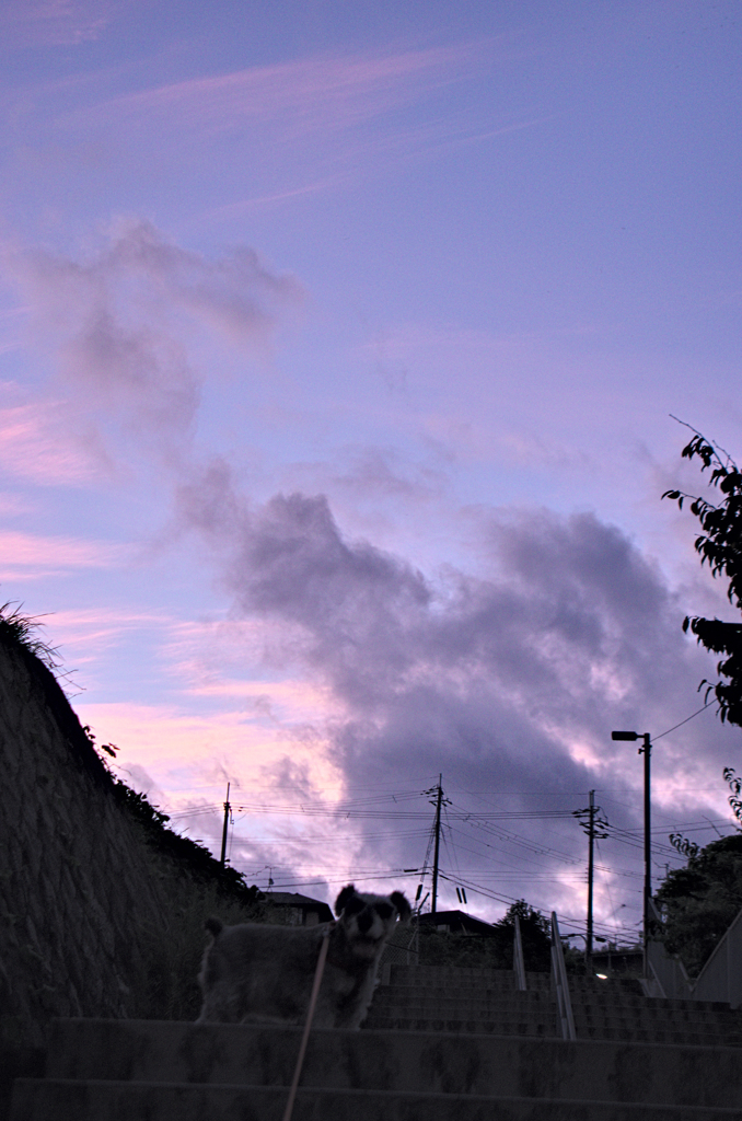 the look of the sky # 167