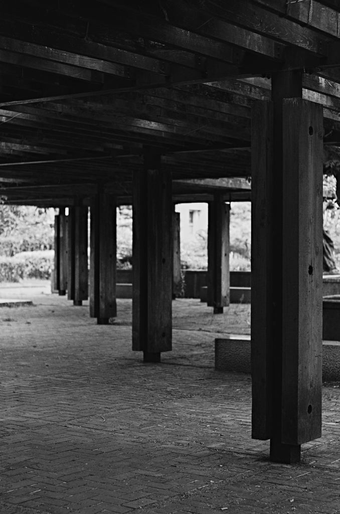 Black-and-White # 14