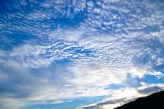 the look of the sky # 231