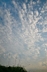 the look of the sky # 359