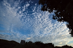 the look of the sky # 187