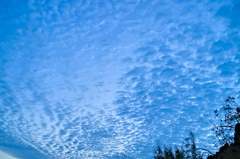 the look of the sky # 316