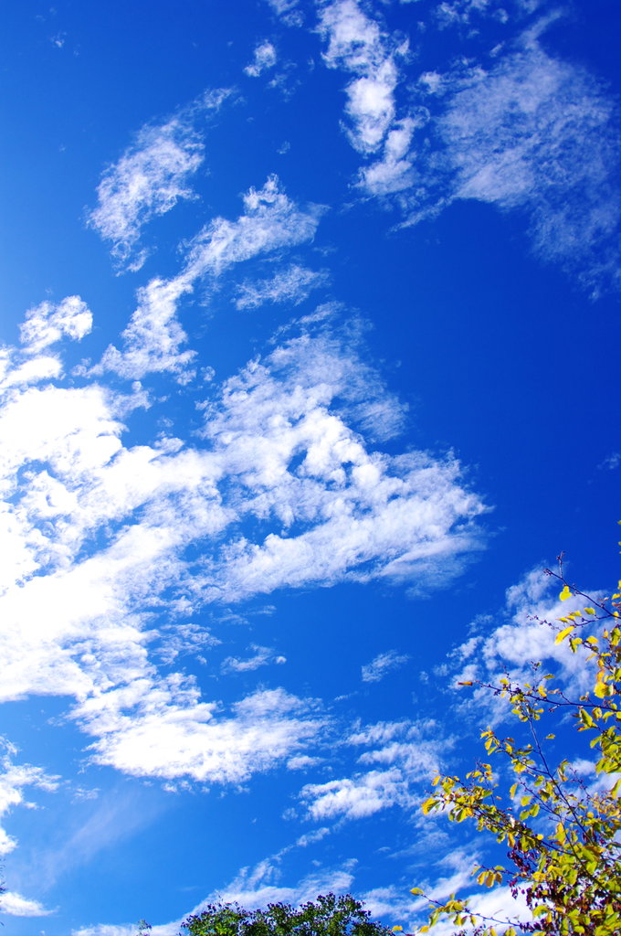 秋空