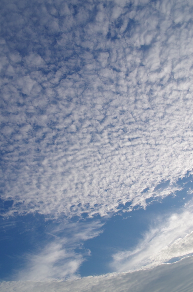 ひつじ雲