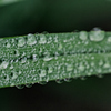 雨上がり