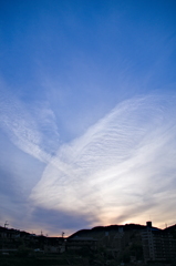 the look of the sky # 350