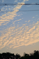 the look of the sky # 370