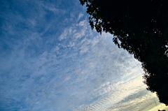 the look of the sky # 79