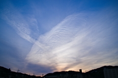 the look of the sky # 349