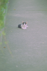 吾輩は猫である、ニャー # 819