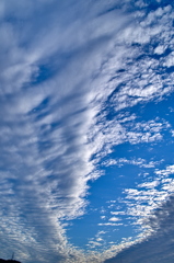 the look of the sky # 261