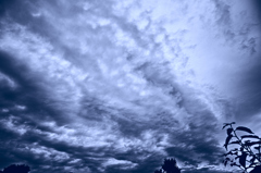 the look of the sky # 49