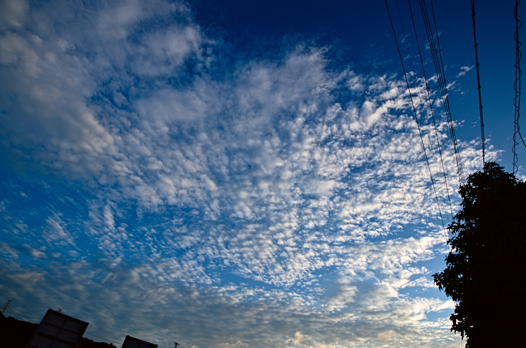 the look of the sky # 178
